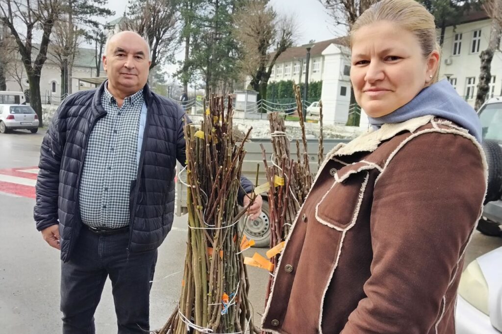 podela voćnih sadnica Zlot