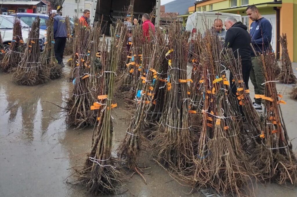 podela voćnih sadnica Zlot