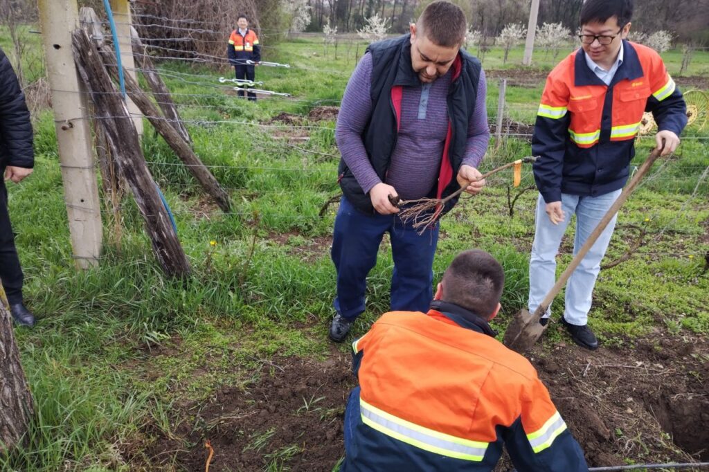 podela voćnih sadnica Zlot